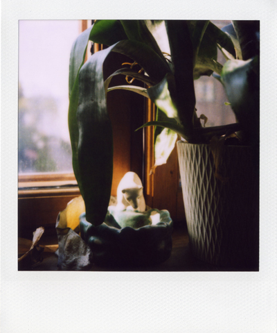 polaroid SX70 II, Jan Tore Jensen
