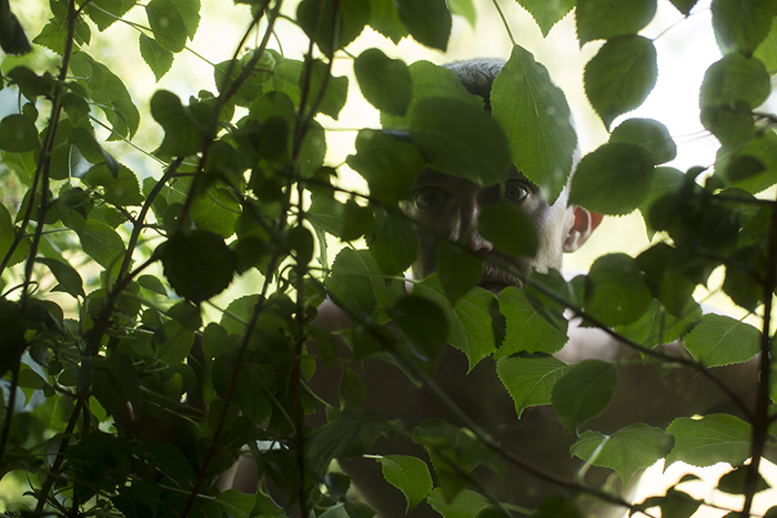 interpretation and reference , Jan Tore Jensen